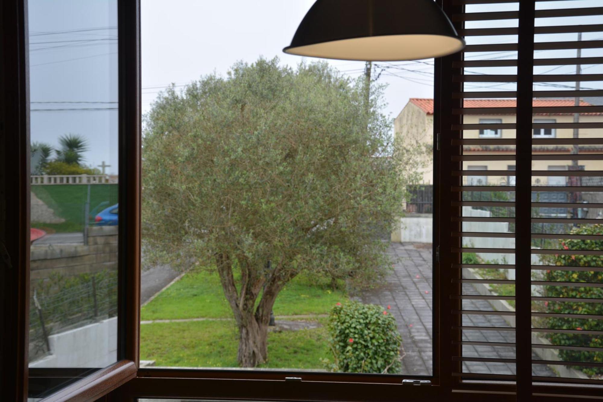 Apartamento Lagartino イスラ・デ・アローサ エクステリア 写真